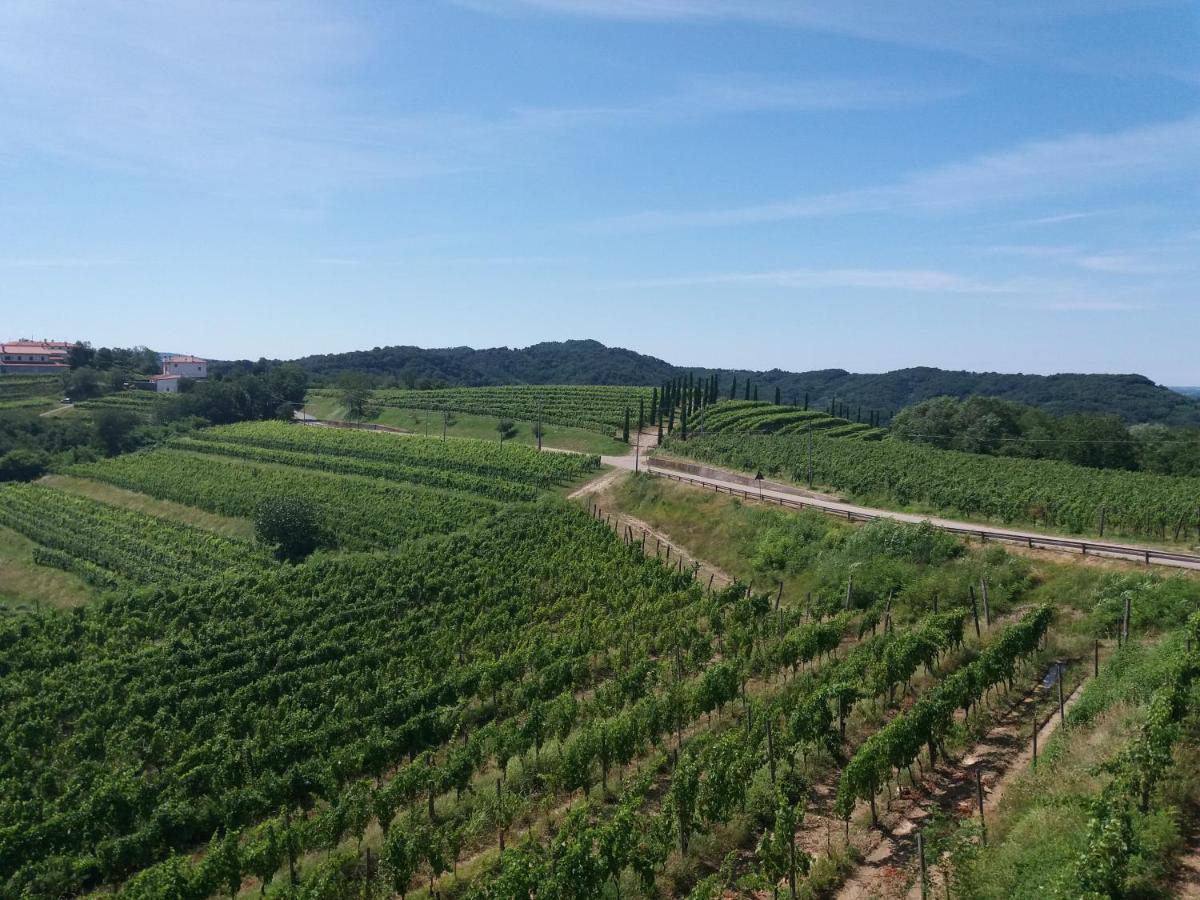 Agriturismo Casa Delle Rose Winery Ruttàrs Εξωτερικό φωτογραφία