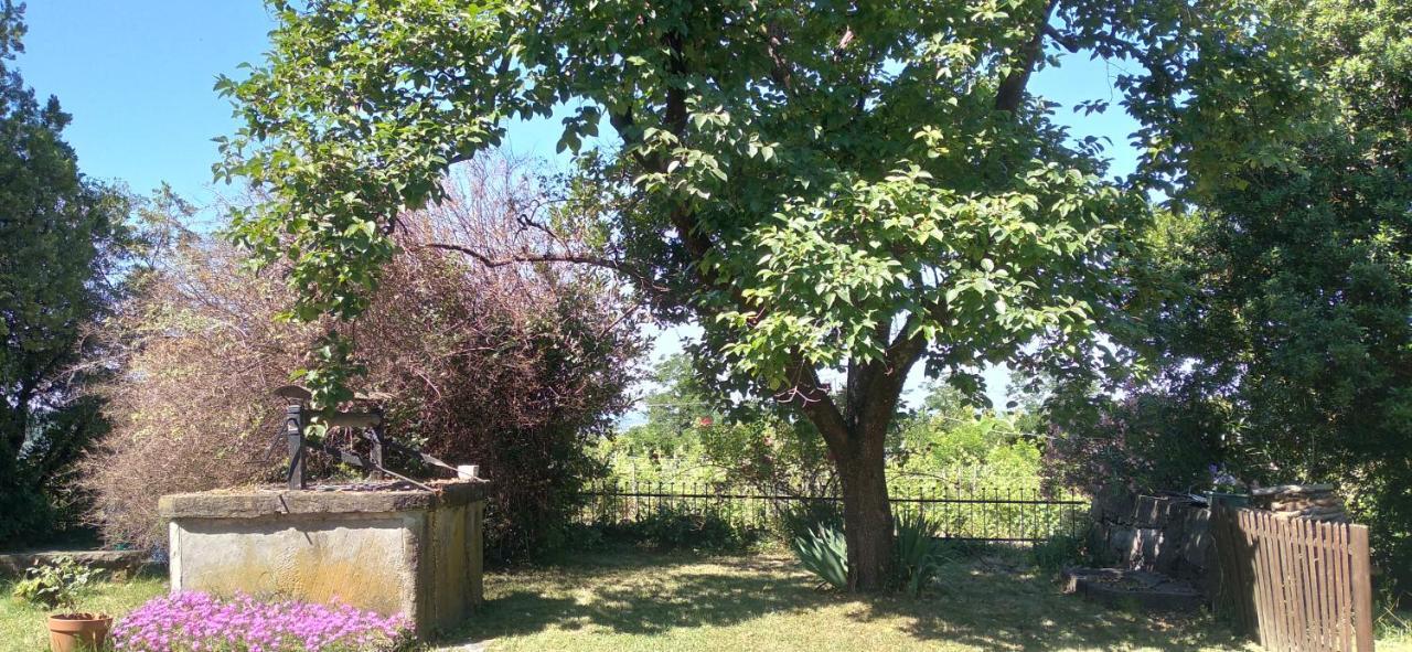 Agriturismo Casa Delle Rose Winery Ruttàrs Εξωτερικό φωτογραφία