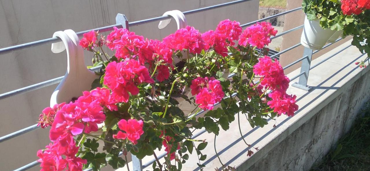 Agriturismo Casa Delle Rose Winery Ruttàrs Εξωτερικό φωτογραφία