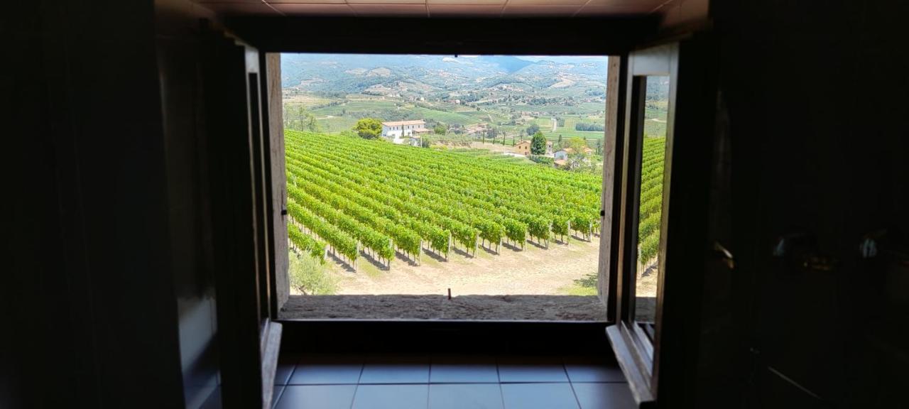 Agriturismo Casa Delle Rose Winery Ruttàrs Εξωτερικό φωτογραφία