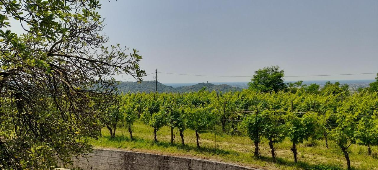 Agriturismo Casa Delle Rose Winery Ruttàrs Εξωτερικό φωτογραφία