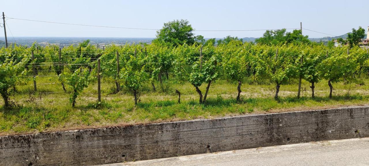 Agriturismo Casa Delle Rose Winery Ruttàrs Εξωτερικό φωτογραφία