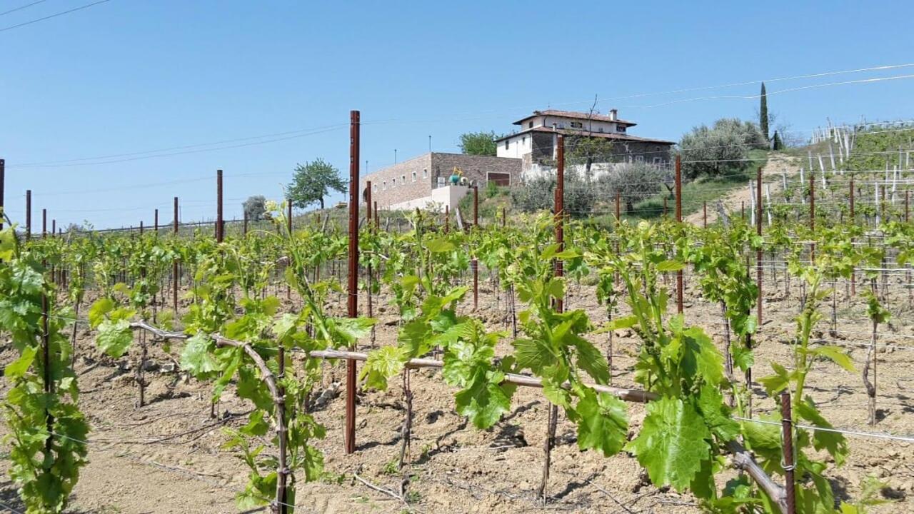 Agriturismo Casa Delle Rose Winery Ruttàrs Εξωτερικό φωτογραφία