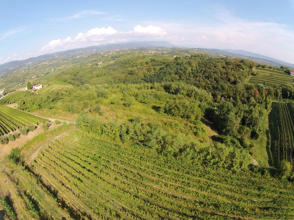 Agriturismo Casa Delle Rose Winery Ruttàrs Εξωτερικό φωτογραφία