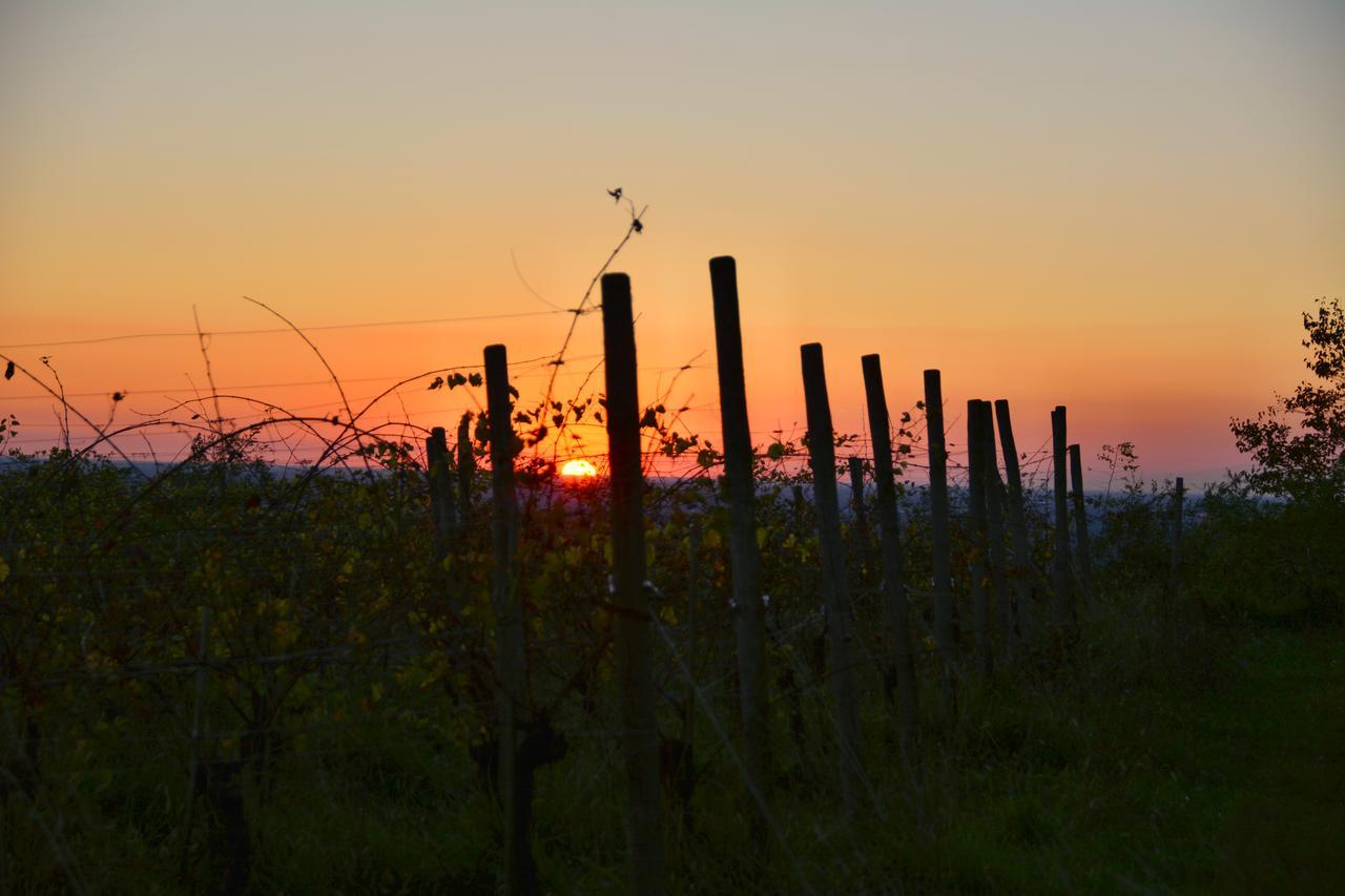 Agriturismo Casa Delle Rose Winery Ruttàrs Εξωτερικό φωτογραφία