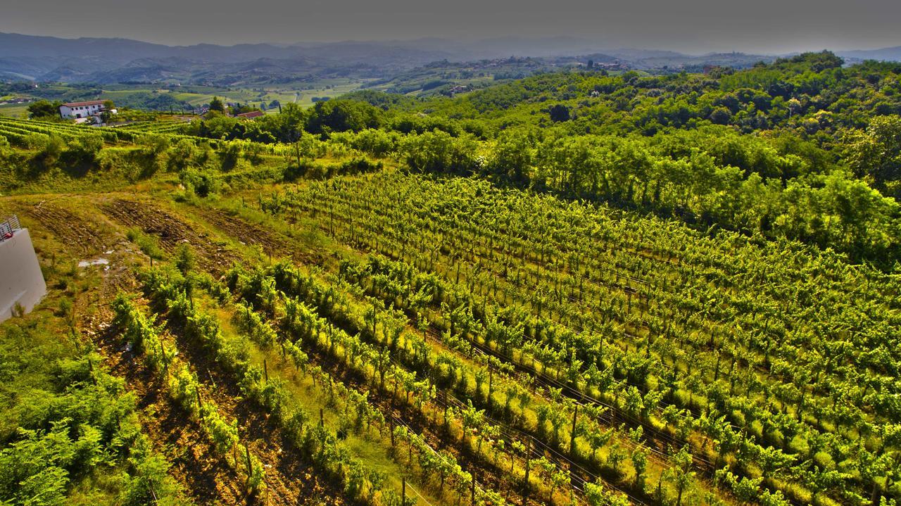 Agriturismo Casa Delle Rose Winery Ruttàrs Εξωτερικό φωτογραφία