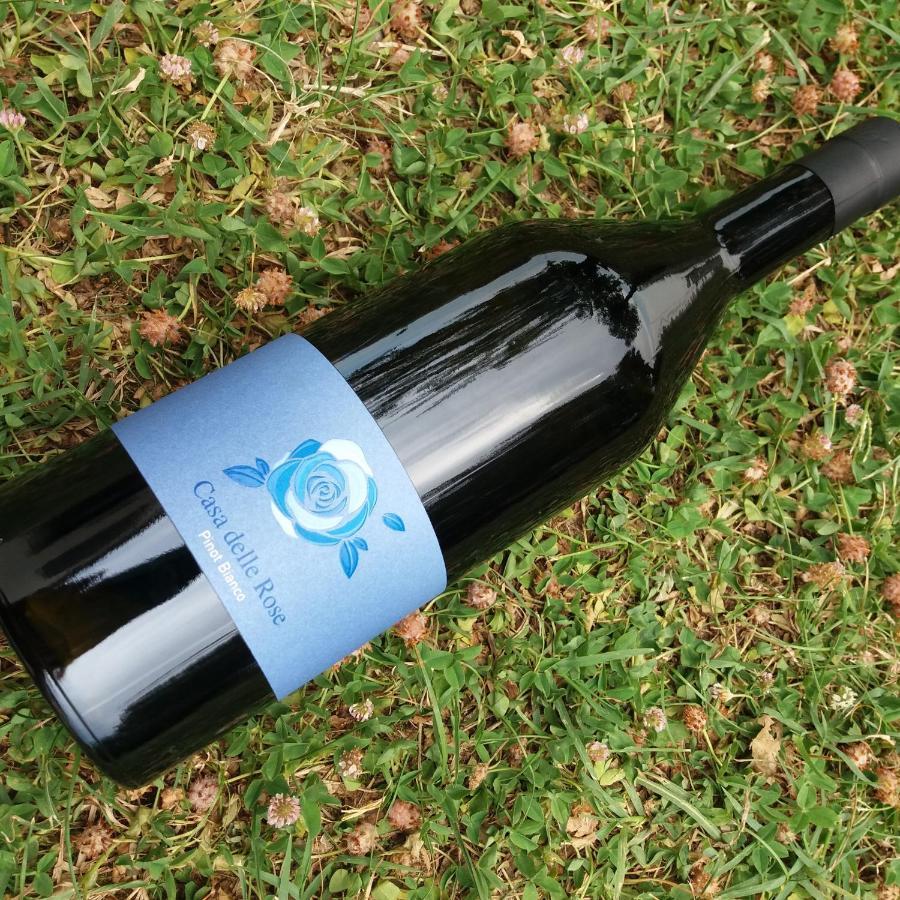 Agriturismo Casa Delle Rose Winery Ruttàrs Εξωτερικό φωτογραφία